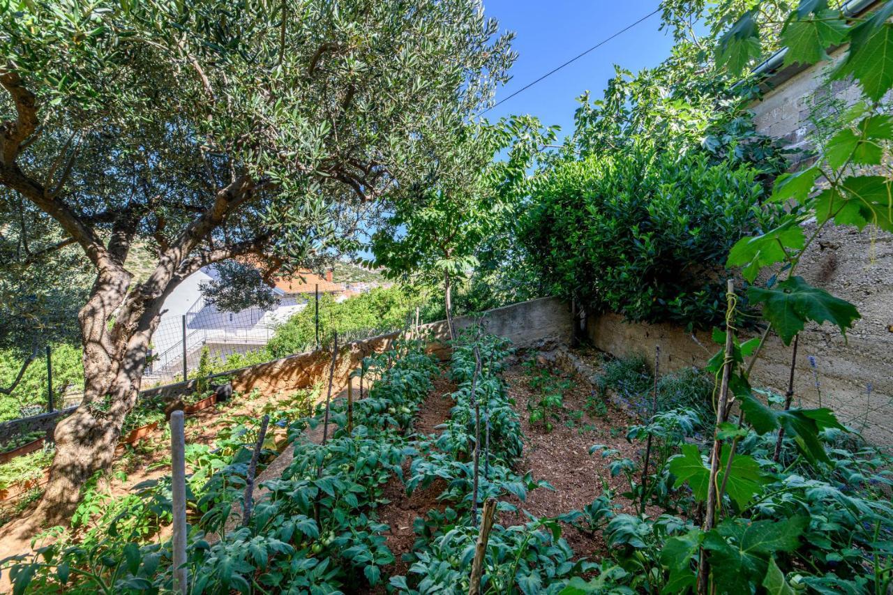Apartments Kardum Šibenik Екстериор снимка